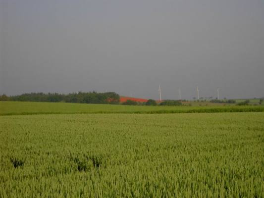 2007_403