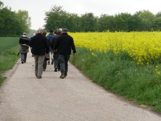 Trier_Plger2010_054