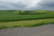 SAM_2356