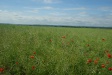 SAM_0231