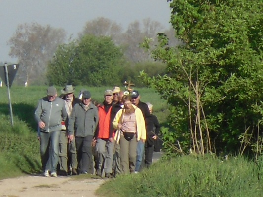 SDC10315