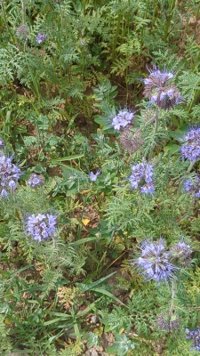 2025-05-30T11_52_20+02_00