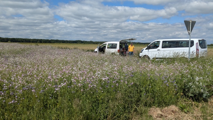 PXL_20250530_094554705