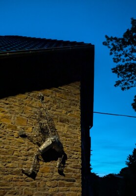 PXL_20250531_023900734.MP~2