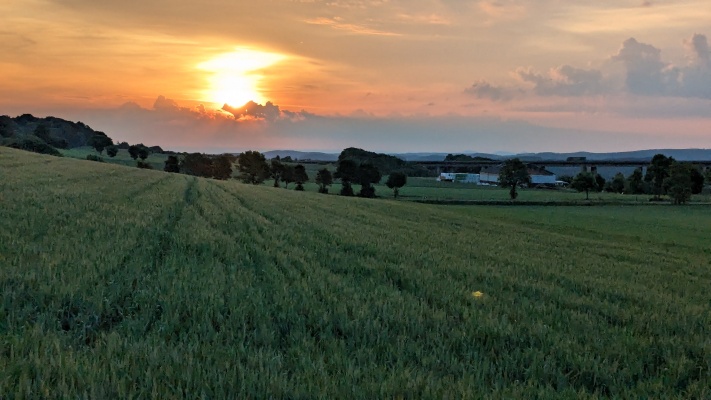 PXL_20250531_034302686