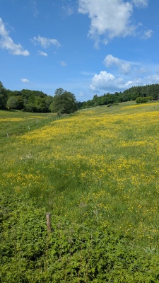 PXL_20250531_090011044