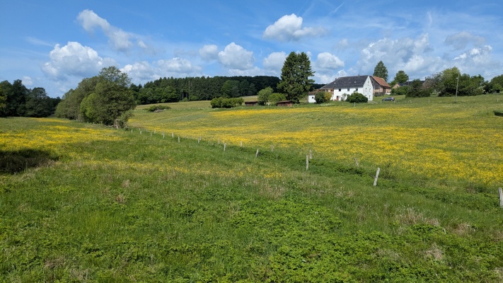 PXL_20250531_090038297