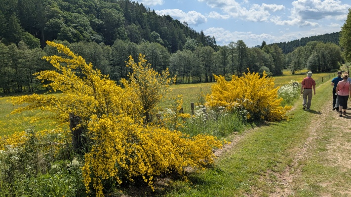 PXL_20250531_094332544