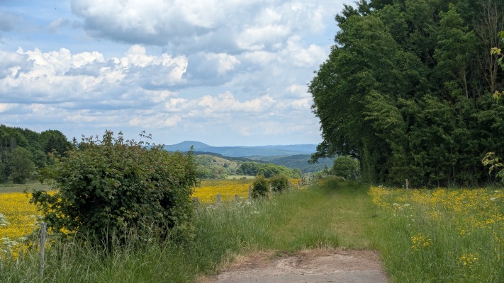 PXL_20250531_110103459