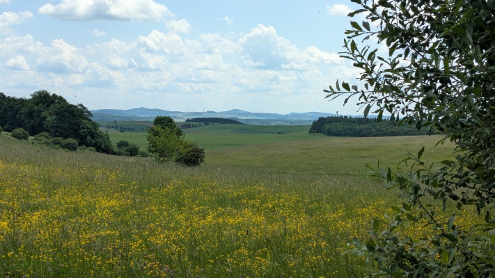 PXL_20250531_110456282