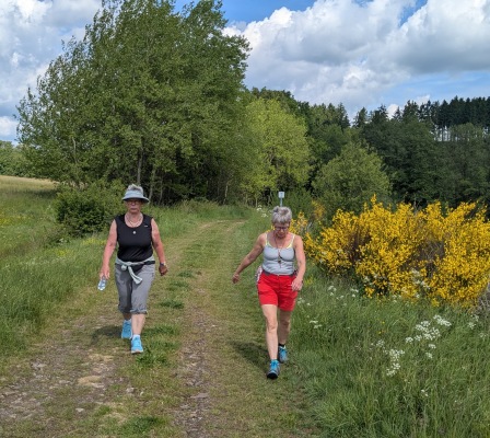 original_51c95d88-3f41-4a47-a3e6-d4a8a3d96dea_PXL_20250531_094057962